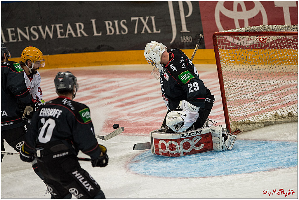 DEL, Koelner Haie - Fishtown Pinguins Bremerhaven, 29.01.2017